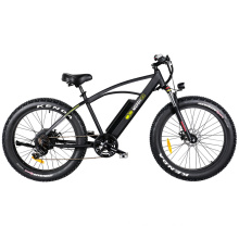 Powerful Hub Motor Large Capacity Removable Lithium Battery Electric Mountain Bike